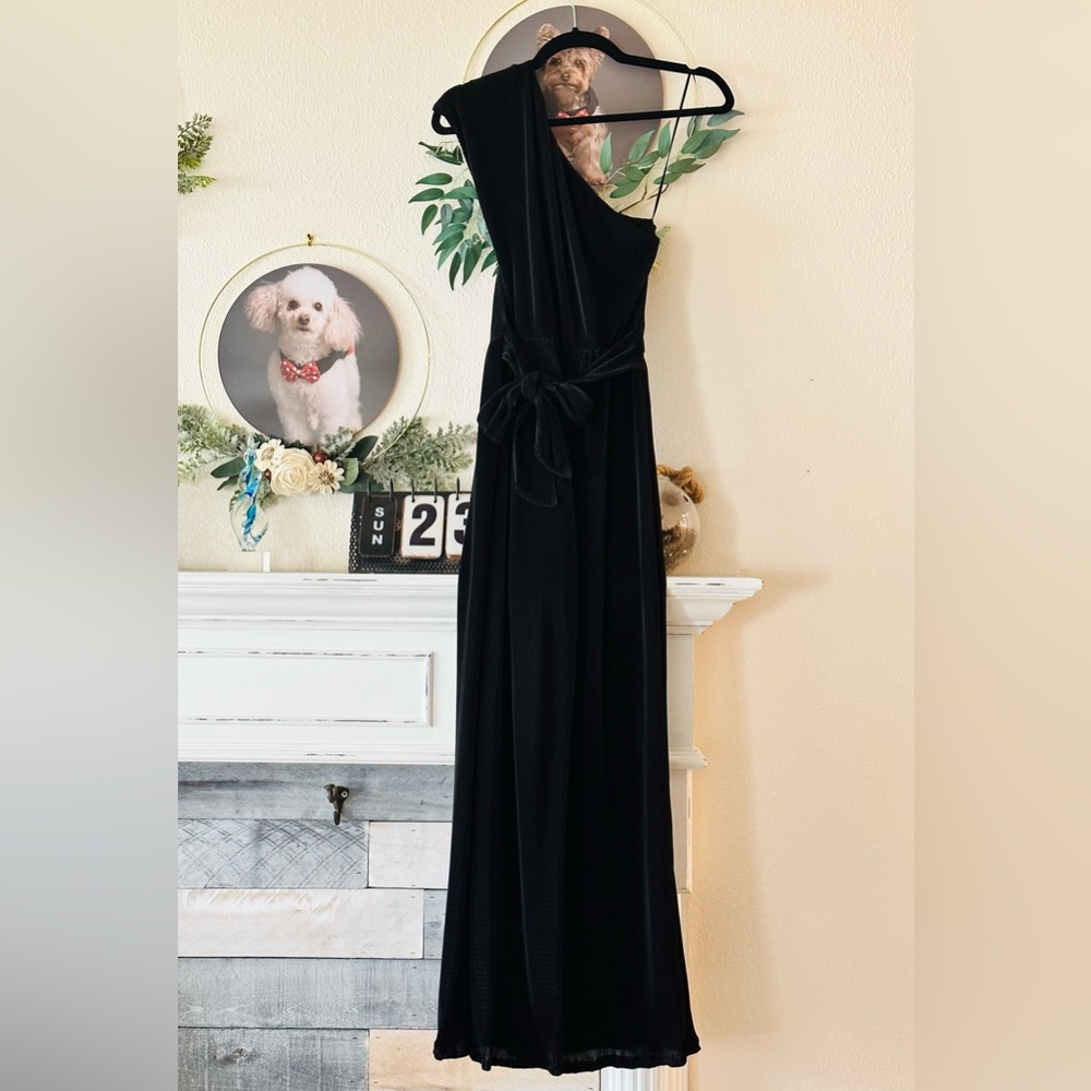 Express satin pleated one-shoulder jumpsuit (EUC size small)
